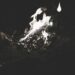 The Fire and the Forest: Charting the Boom, Bust, and Rebirth of Jeremy Jackson’s Fortune