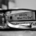 The Gelo Variable: Recalculating the Worth of the Ball Family’s Lost Son