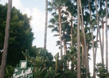 The Vineyard of Hollywood: A New Way to Understand Beau Bridges’ $16 Million Net Worth