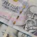 The Perino Paradox: A Forensic Inquiry into the True Meaning of Net Worth