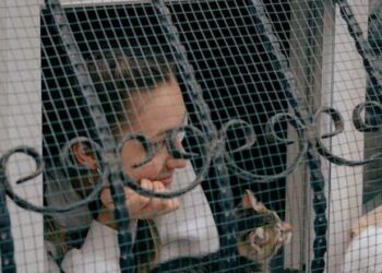 The Doja Cat Paradox: Why Spreadsheets Lie and Her True Net Worth is a Living Ecosystem