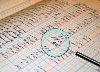 An Assessment of Errol Musk’s Financial Standing