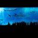 The BuggyBeds Net Worth: A Forensic Analysis of a Shark Tank Legend