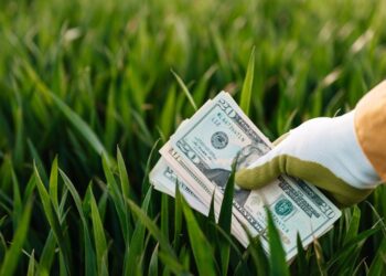 The Gardener and the Balance Sheet: Why Your Net Worth Is a Terrible Map and How to Build a Thriving Financial Life