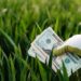 The Gardener and the Balance Sheet: Why Your Net Worth Is a Terrible Map and How to Build a Thriving Financial Life
