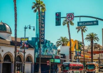 The Duvall Discrepancy: A Financial Analysis of an Unconventional Hollywood Career