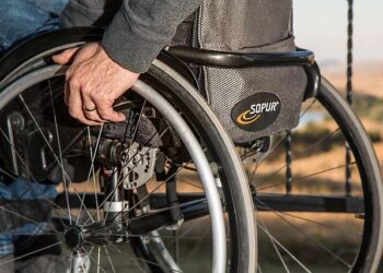 The Vick Doctrine: A Financial Case Study of Peak Earnings, Catastrophic Loss, and Unprecedented Recovery