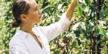 The $60 Million Ecosystem: Deconstructing the Business of RuPaul