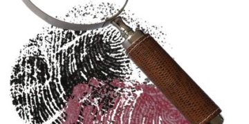 Beyond the Golden Buzzer: A Forensic Valuation of Sal Valentinetti’s Net Worth