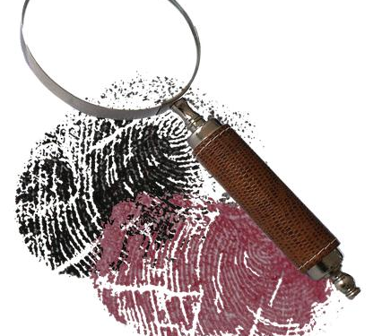 Beyond the Golden Buzzer: A Forensic Valuation of Sal Valentinetti’s Net Worth