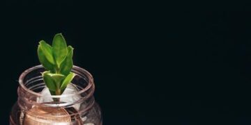 The Fanning Biome: Why Dakota Fanning’s $12 Million Net Worth is a Masterclass in Sustainable Wealth