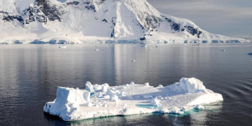 The Iceberg of Influence: Deconstructing Todd Blanche’s Net Worth