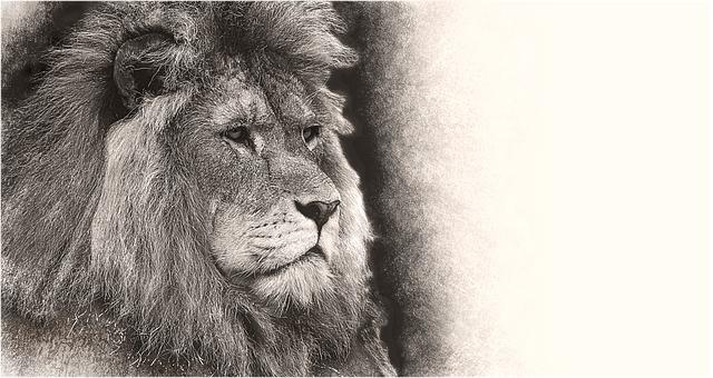 The Unarmed Warrior: Measuring the True Worth of Tony Dow